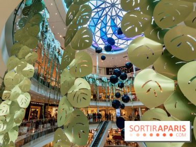 Exposition Monstera Dubia à Beaugrenelle