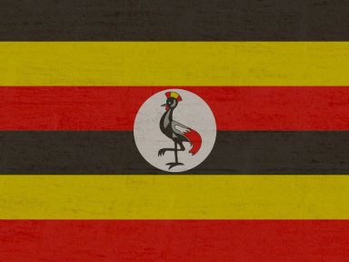 JO de Paris 2024 : Les médailles d'or, d'argent et de bronze de l'Ouganda aux Jeux Olympiques