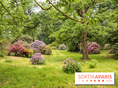 L'Arboretum de Versailles - Chevreloup