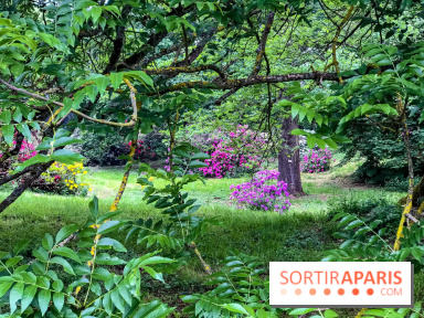 L'Arboretum de Versailles - Chevreloup