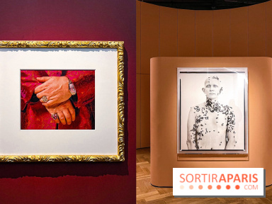 Fragiles beautés : la collection de photos d'Elton John exposée au Jeu de Paume