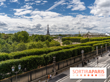 visuel Paris visuel  -  Rue de Rivoli - jardin des Tuileries 