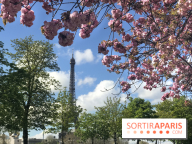 Visuel Paris, Tour Eiffel printemps