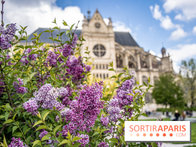 Visuel Paris Jardin Nelson Mandela Eglise Saint Eustache