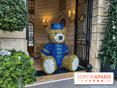 Paris visuel - noel Paris - ritz Paris