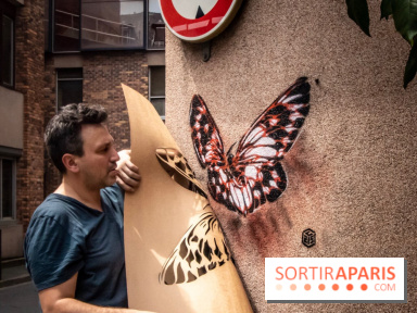 Les Papillons de C215