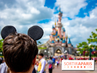 Visuels Disneyland Paris château