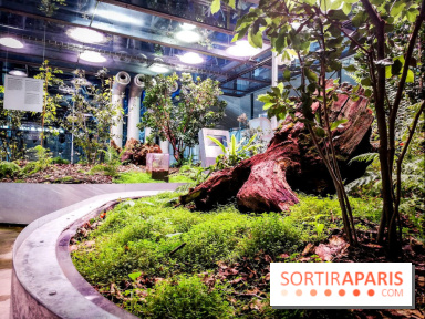 Bio-inspirée, la nouvelle expo permanente à la Cité des Sciences et de l'Industrie