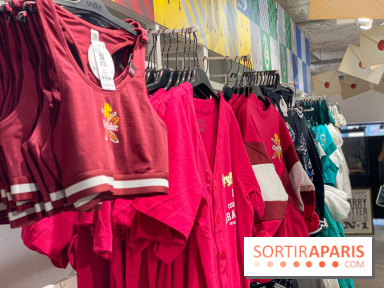 Brassière et tunique Gryffondor