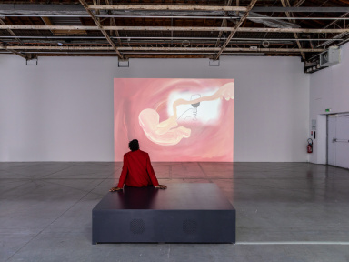Exposition Anticorps au Palais de Tokyo