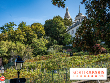 Montmartre Paris - fete des vendanges