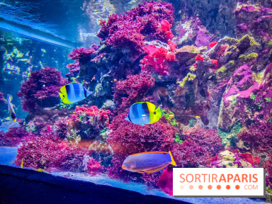 L'Aquarium Tropical de la Porte Dorée