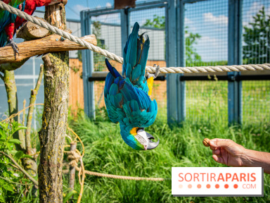 Parrot World, le parc animalier immersif d'Île-de-France