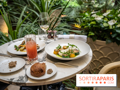La Terrasse estivale du 19.20  au Prince de Galles Paris