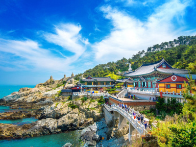 Jeux Paralympiques : une Maison de la Corée aux Showrooms du Marais
