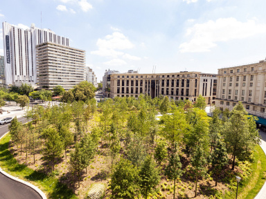 Sant Jordi 2026 : marché aux livres et aux roses et animations sur la Place de Catalogne