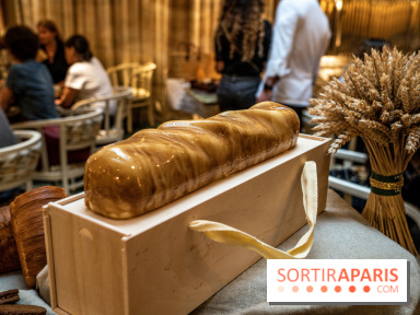 Photos : Les Bûches de Noël 2021 et galettes 2022 de Pierre Chirac et Stephanie Le Quellec