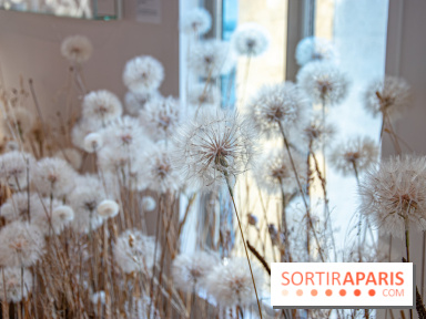 Le Musée Guimet propose une Carte blanche à Duy Anh Nhan Duc