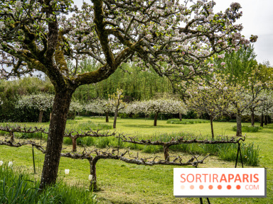 Le Château de Saint-Jean de Beauregard et son Jardin remarquable