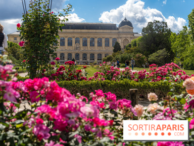 Photos La roseraie du Jardin des Plantes