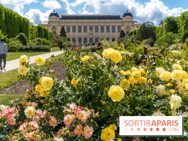 Photos La roseraie du Jardin des Plantes