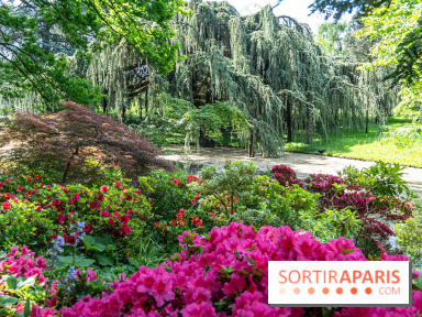 Arboretum de la Vallée-aux-Loups, une balade au milieu des arbres remarquables - A7C07775