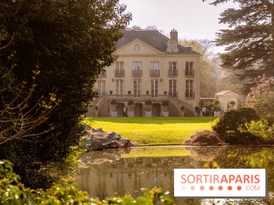 Arboretum de la Vallée-aux-Loups, une balade au milieu des arbres remarquables - A7C09396