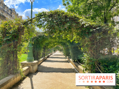 Balade sur la Petite Ceinture du 17e : la promenade Pereire