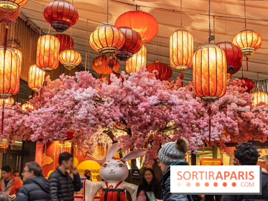 Le Nouvel an Chinois dans le 13e à Paris 2020