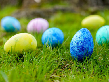 Chasse aux oeufs de Pâques 2019 de l'Ile des loisirs du Port aux Cerises (91)