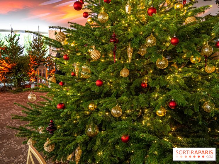 Visuels Noël - sapin