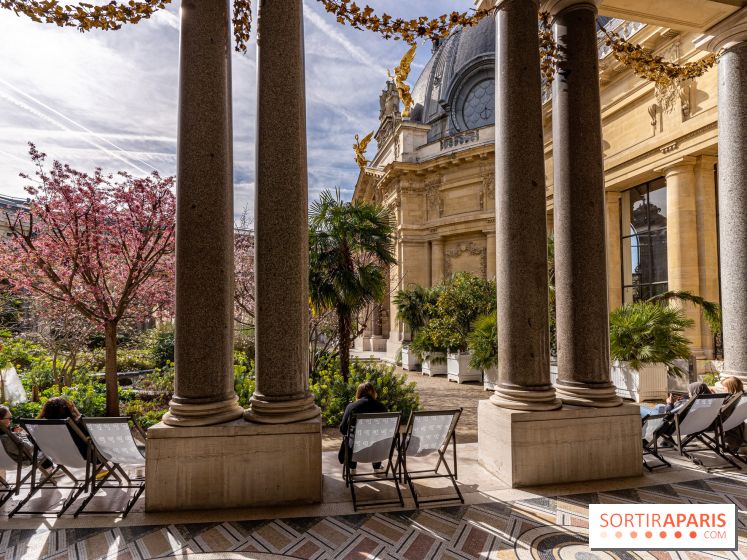 Petit Palais - Collection permanente  -  jardin
