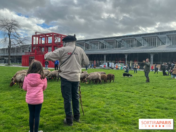 Transhumance à la Villette - CE1F1B78 657D 4D9B 8C5A FA4919382939