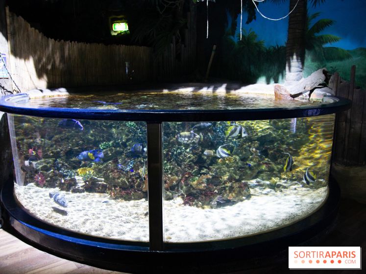 Aquarium Sea Life