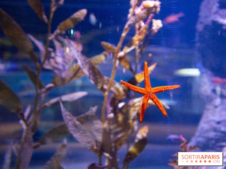 Easter in Paris Top Chocolates and Egg Hunts in ÎledeFrance