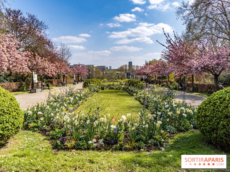 Parc de Bécon à Courbevoie - Pavillon des Indes - Cerisiers en fleurs