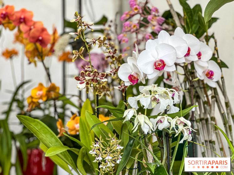Esprit Jardin à Versailles - Marché aux plantes et animations