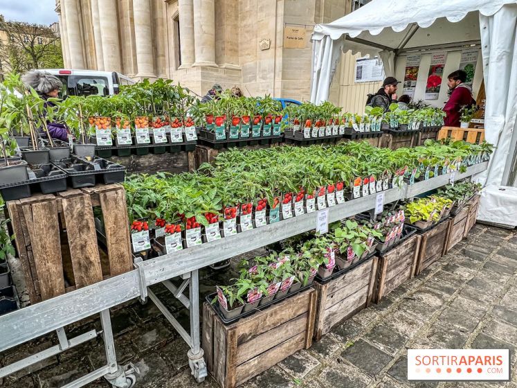 Esprit Jardin à Versailles - Marché aux plantes et animations