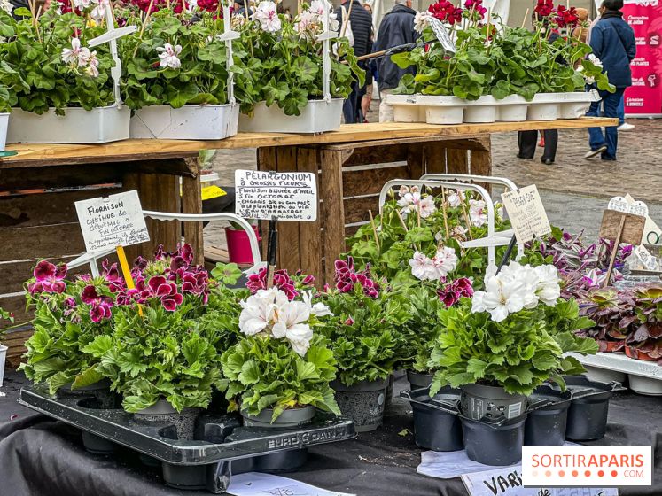 Esprit Jardin à Versailles - Marché aux plantes et animations