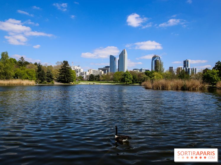Parc André Malraux à Nanterre, nos photos - IMG 9748