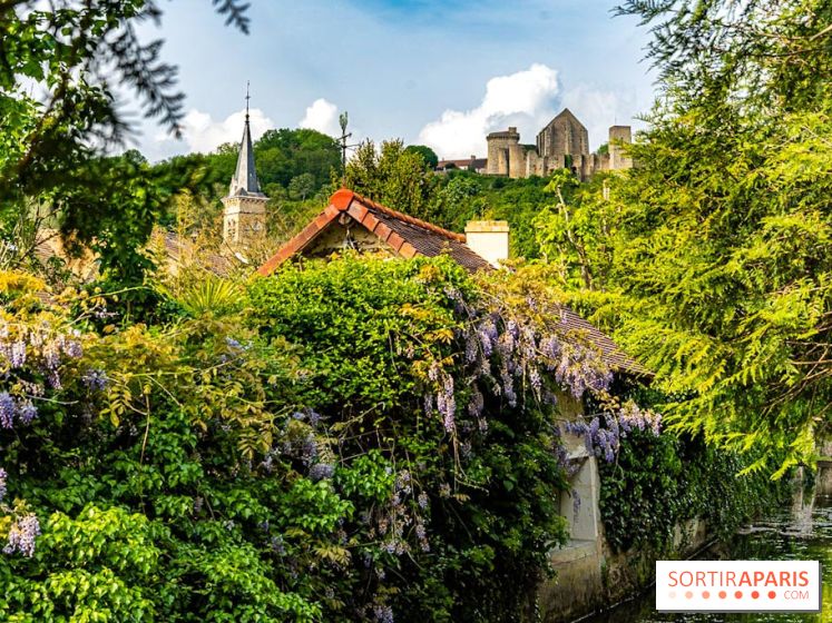 Le Château de la Madeleine à Chevreuse  -  A7C3910