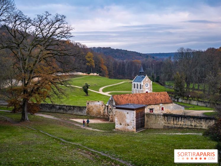 Domaine National de Port-Royal des Champs dans les Yvelines -  A7C3310