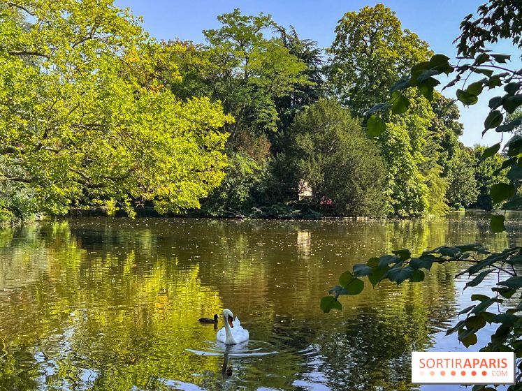 Les lacs et rivières du Vésinet, dans les Yvelines