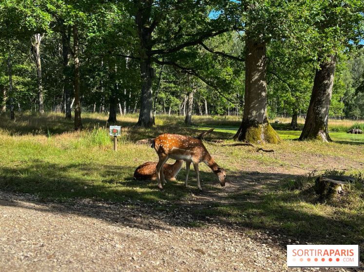 Espace Rambouillet