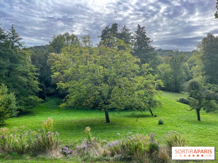 La maison littéraire de Victor Hugo, joyau patrimonial à Bièvres (91) - image00016