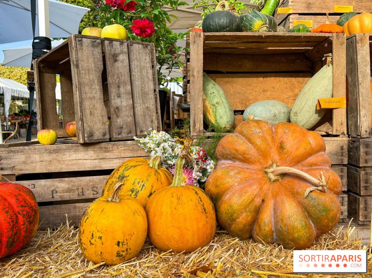 Automne au Potager du Roi - Citrouilles - Halloween