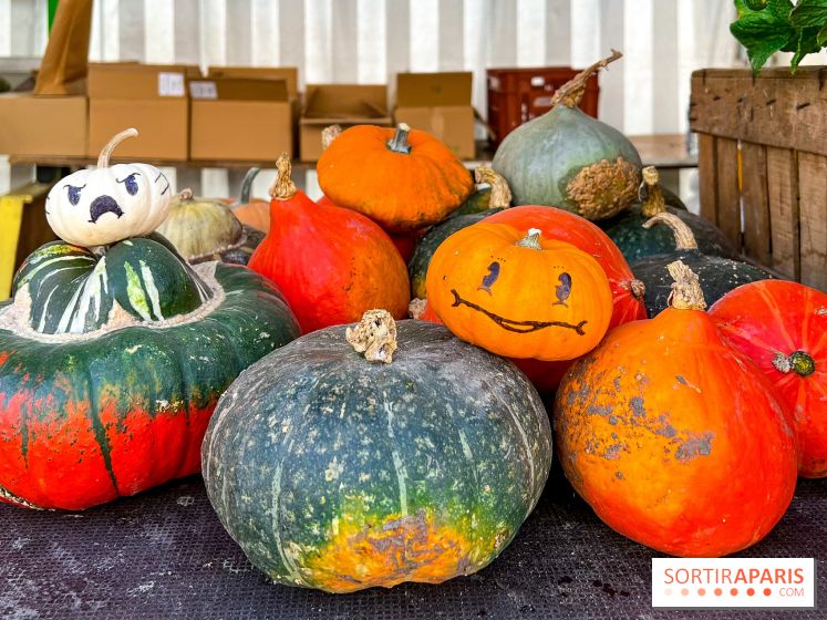 Automne au Potager du Roi - Citrouilles - Halloween