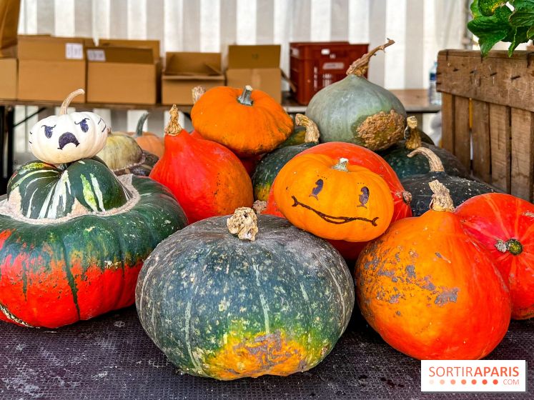 Automne au Potager du Roi - Citrouilles - Halloween