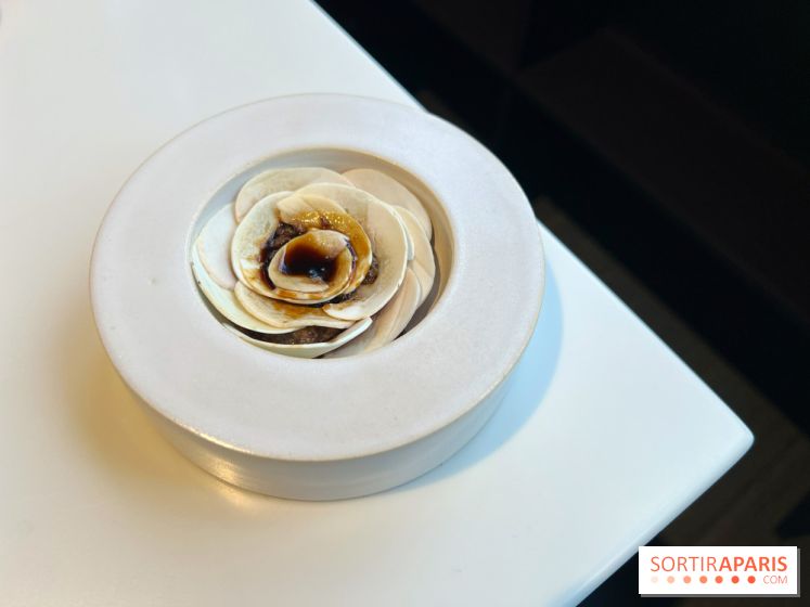 Vaisseau d'Adrien Cachot - Champignons