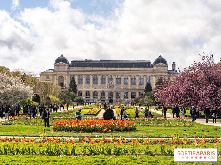 Visuel Paris 5e -  jardin des plantes - museum - printemps - cerisiers